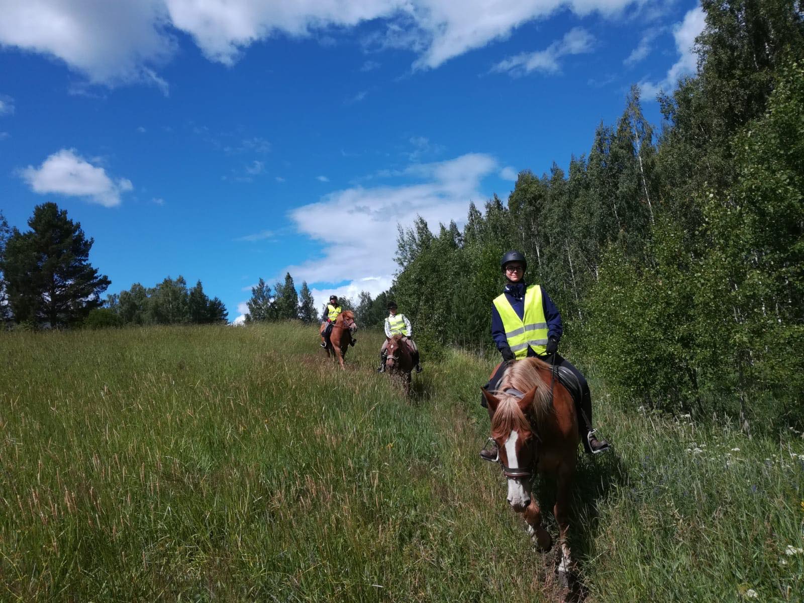 Pitkä suokkimaasto 30.6.2018