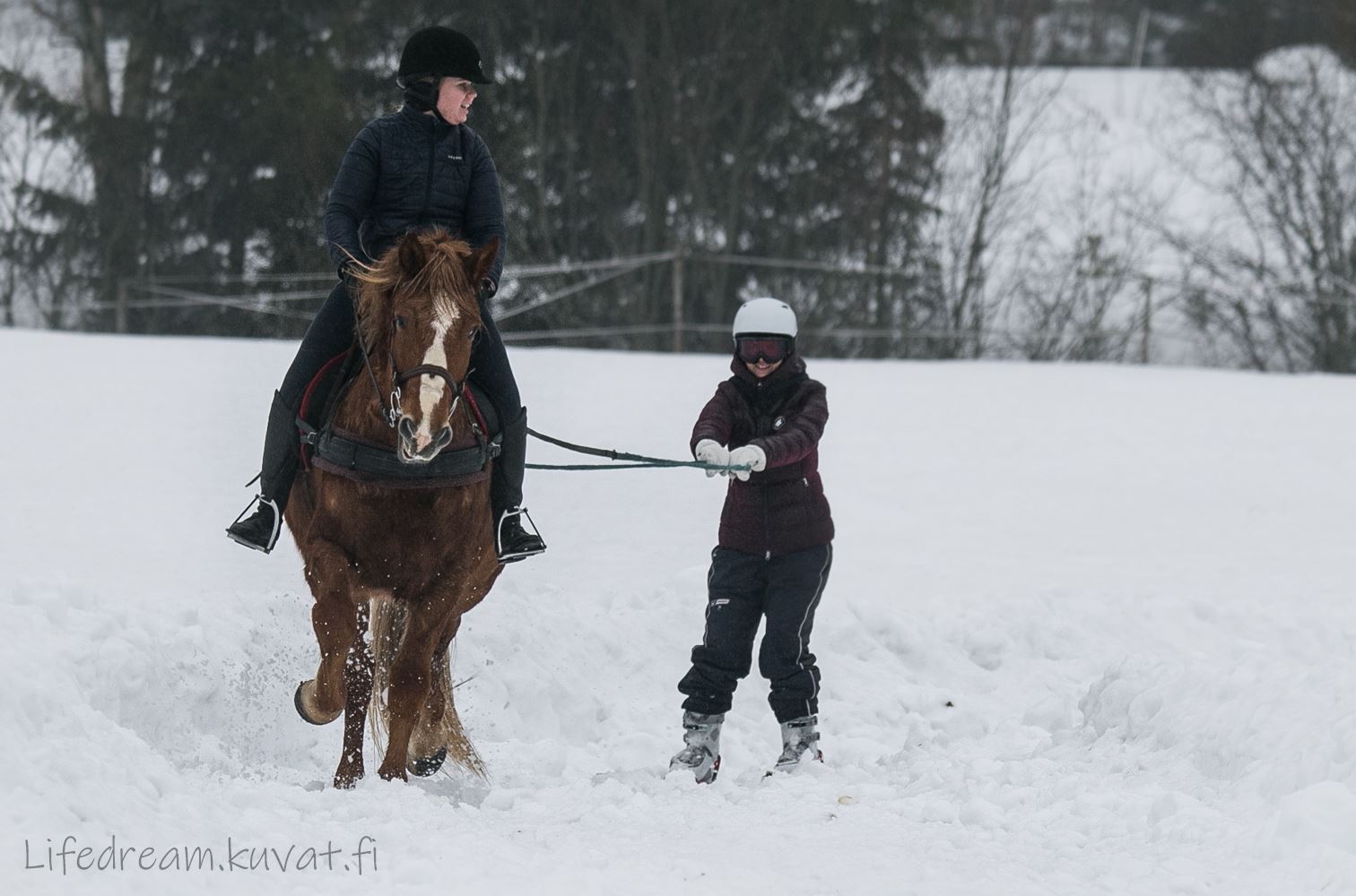 Hiihtoratsastusta 9.2.2019