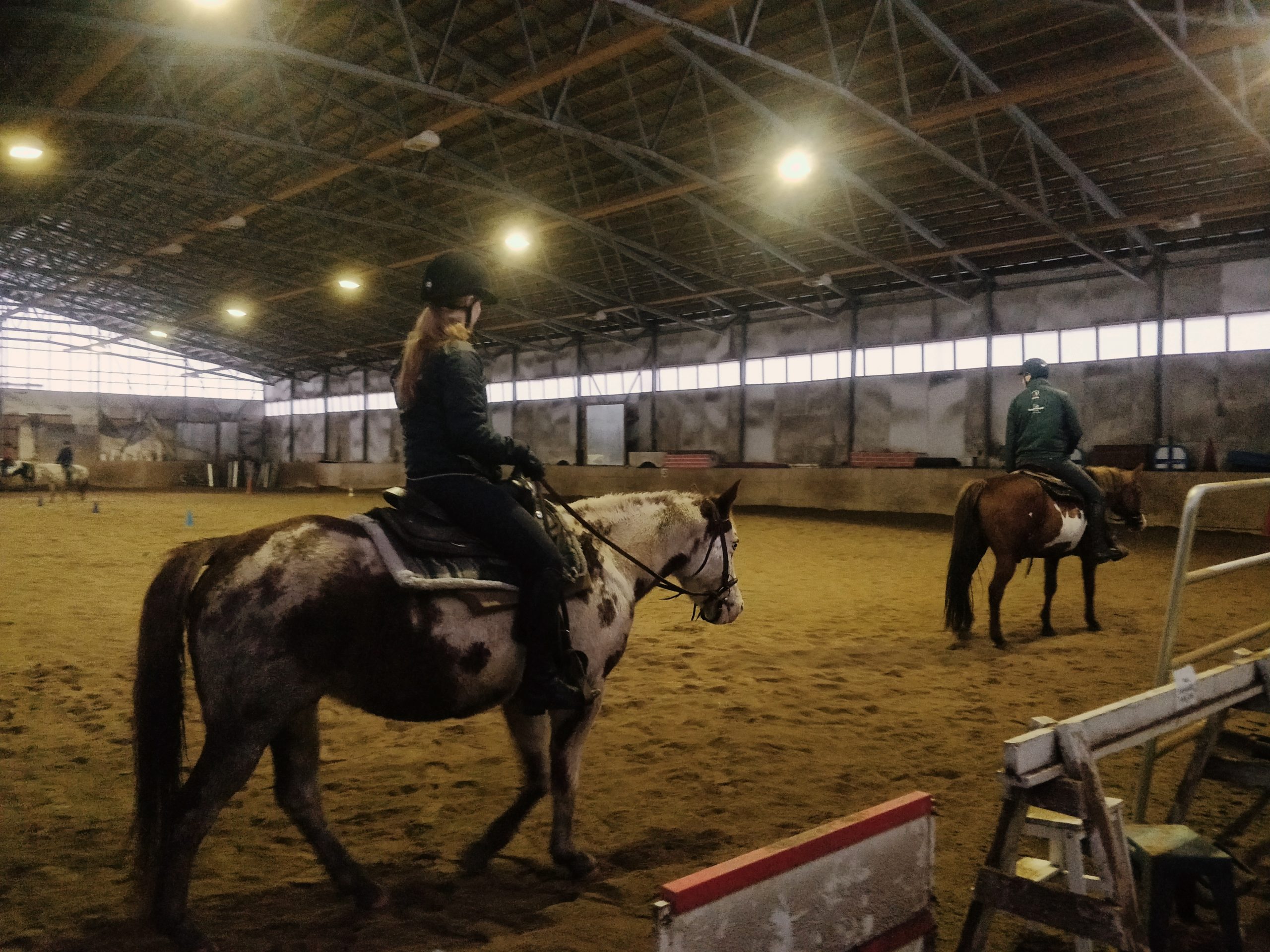 Lännenratsastuskokeilu – Western Riding Tryout 21.11.2020