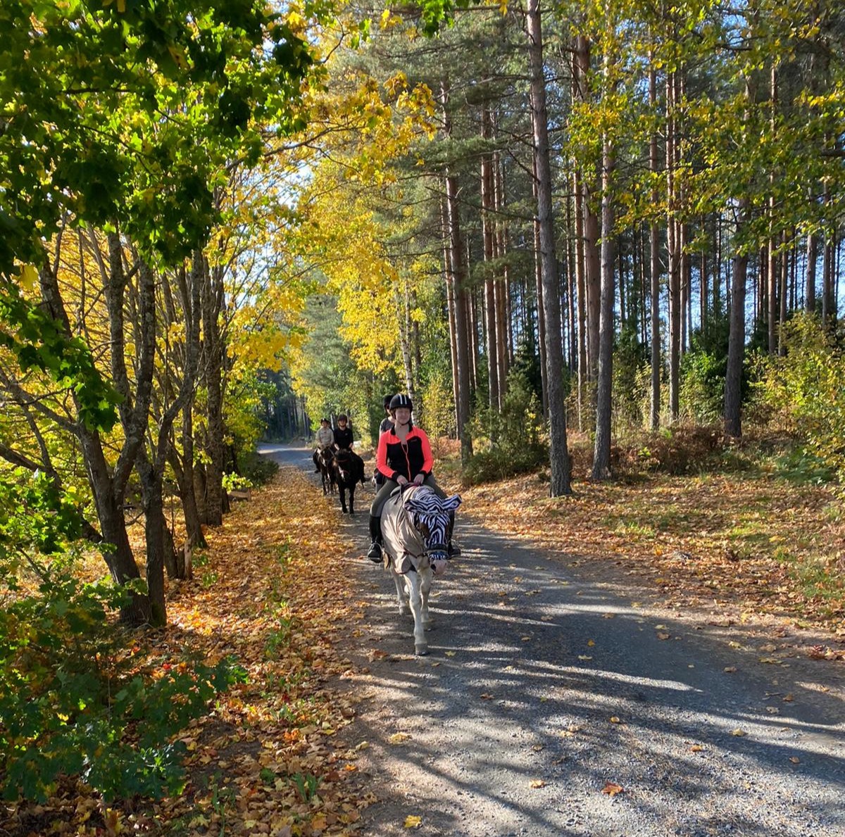 Maastotunti 30.10./Trail riding  30.10.