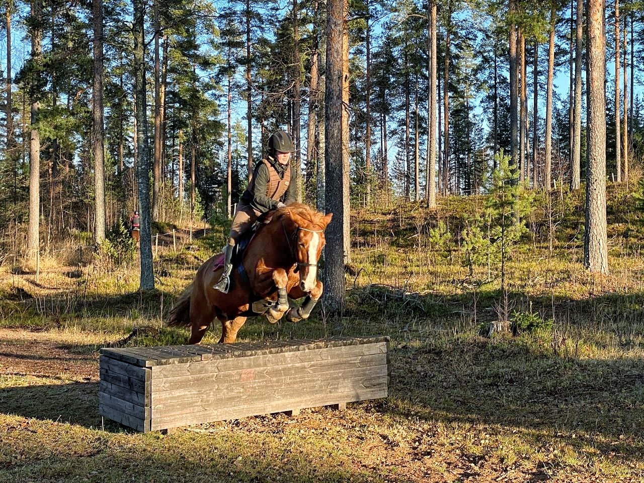 Ypäjän maastoesteleiri 2023 / Cross-country jumping camp 2023