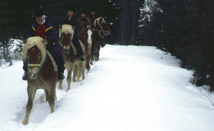 Maastoretkellä Chrissen kanssa