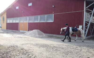 Ratsastuksen kokeilu 14.3. / Riding try-out 14.3.
